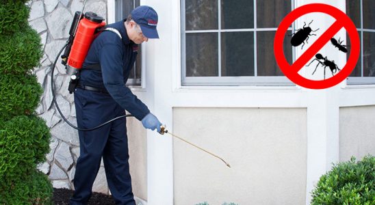 Derepazarı Kene İlaçlama böcek ilaçlama ve haşere kontrolü — ilaclama-tr.com